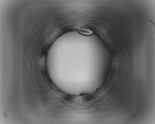 X0000100980127200807081253