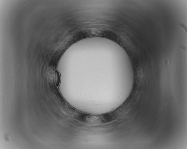 X0000100980129200807081253