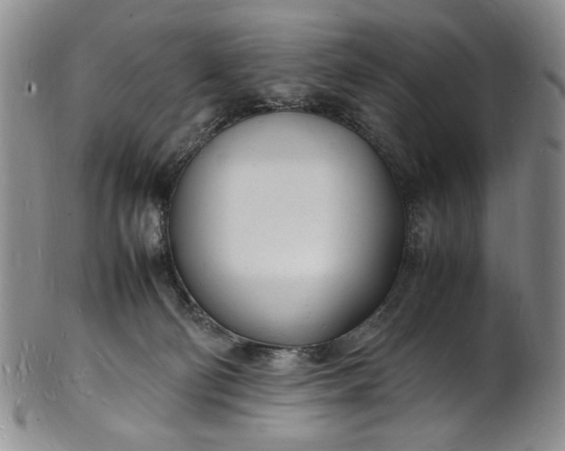 X0000100980130200807081253