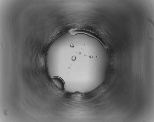 X0000100980131200807081253