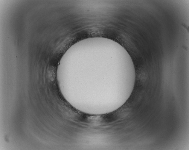 X0000100980133200807081253