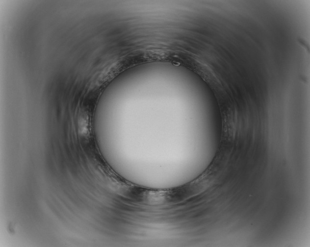 X0000100980134200807081253