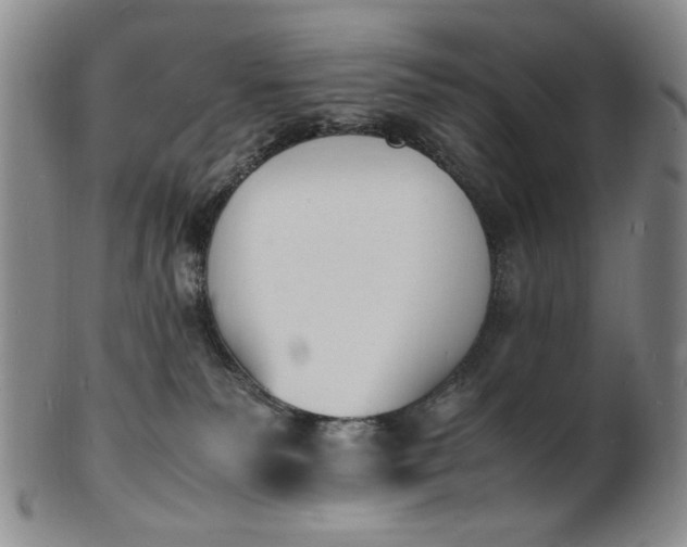 X0000100980135200807081253