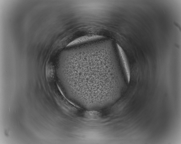 X0000100980137200807081253