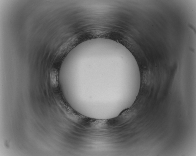 X0000100980138200807081253