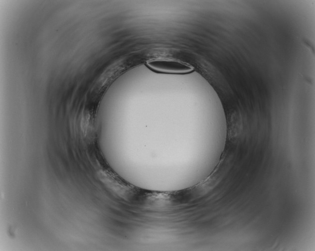 X0000100980140200807081252