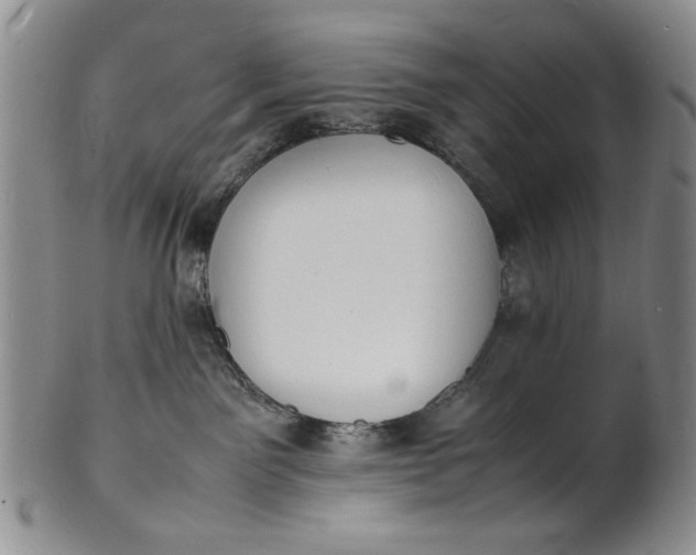 X0000100980141200807081252