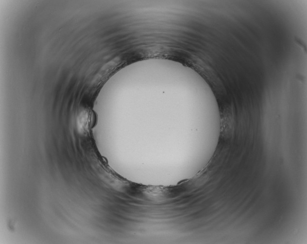 X0000100980142200807081252