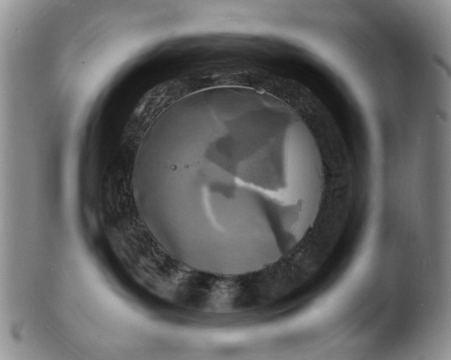 X0000100980143200807081252