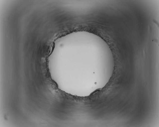 X0000100980144200807081252