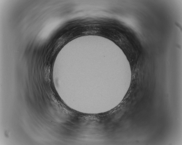 X0000100980146200807081252