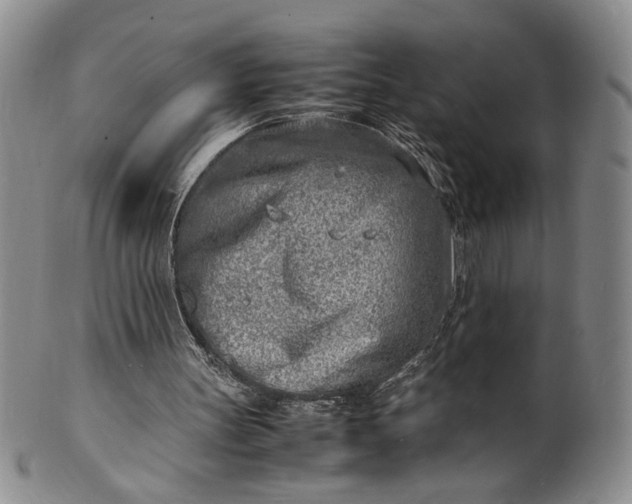 X0000100980147200807081252