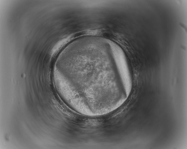 X0000100980149200807081252