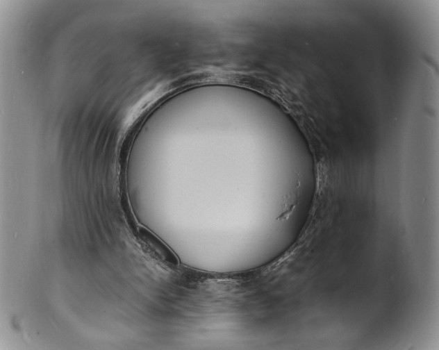 X0000100980150200807081252