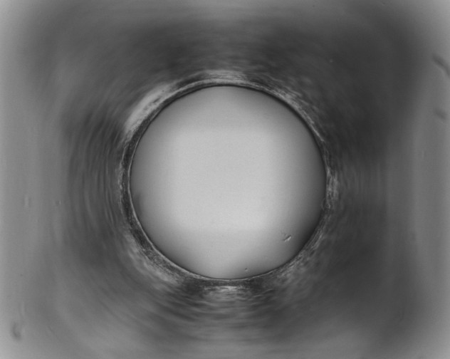 X0000100980151200807081252