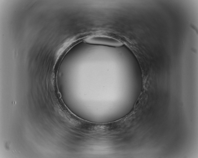 X0000100980152200807081252