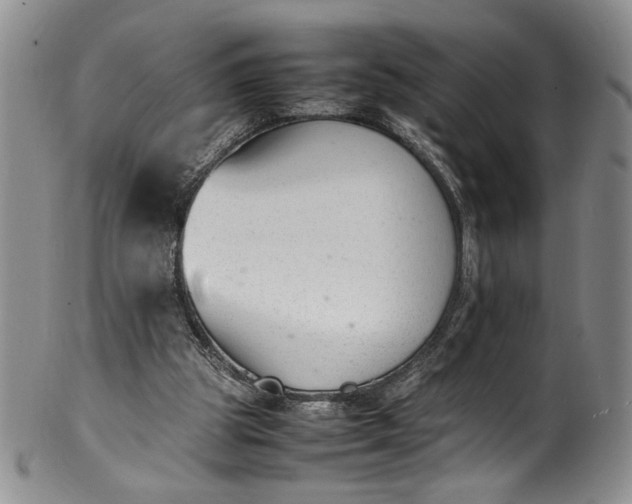 X0000100980153200807081252