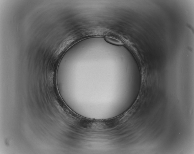 X0000100980154200807081252