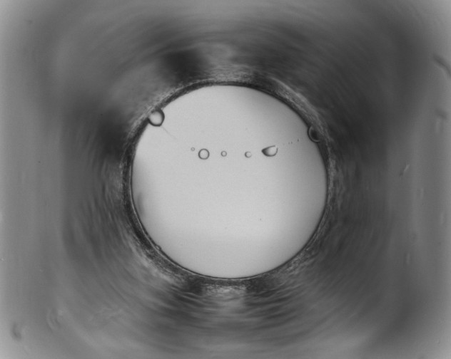 X0000100980155200807081252