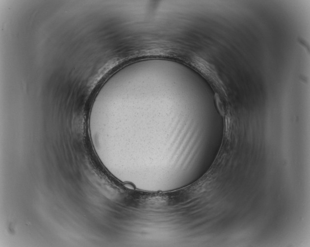 X0000100980156200807081252