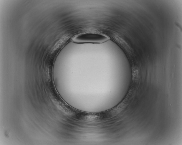 X0000100980158200807081252