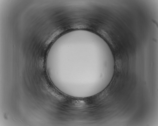 X0000100980159200807081252