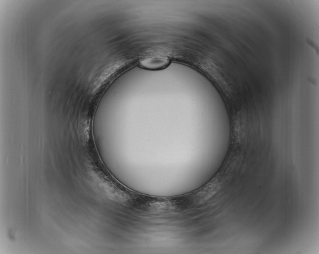 X0000100980160200807081252