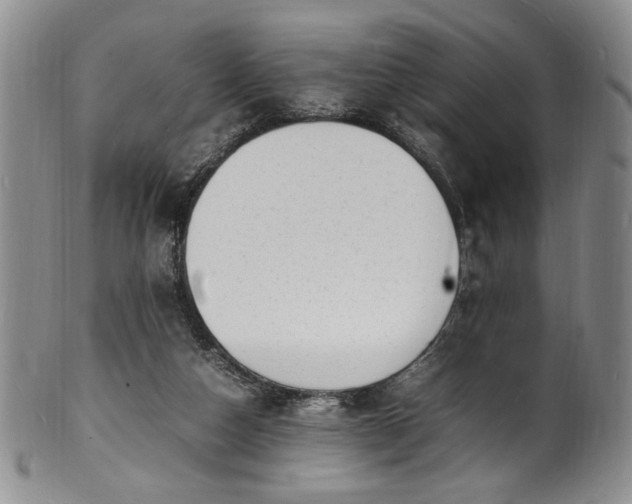 X0000100980162200807081252