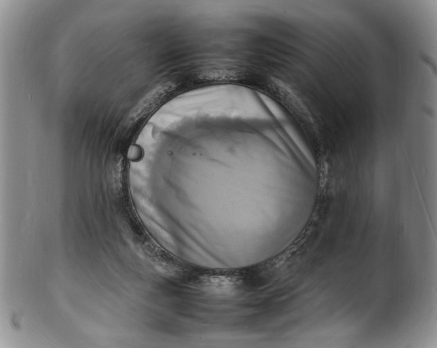 X0000100980163200807081252