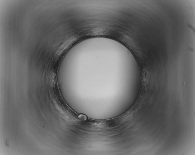 X0000100980164200807081252