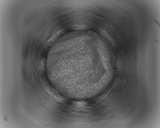 X0000100980165200807081252