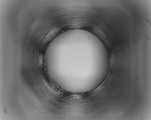 X0000100980166200807081252