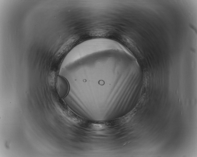 X0000100980167200807081252