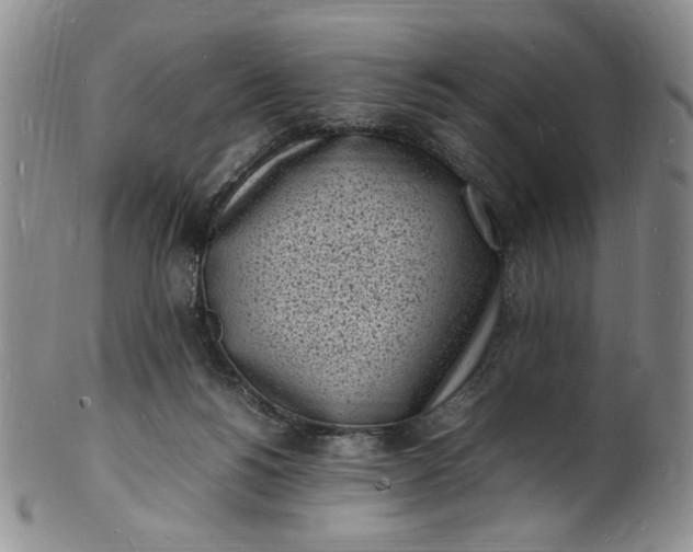 X0000100980168200807081252