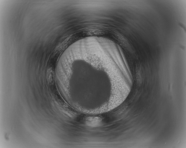 X0000100980169200807081252