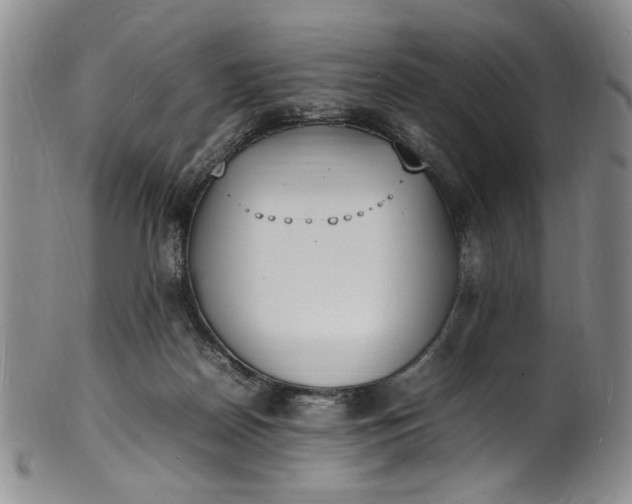 X0000100980170200807081252