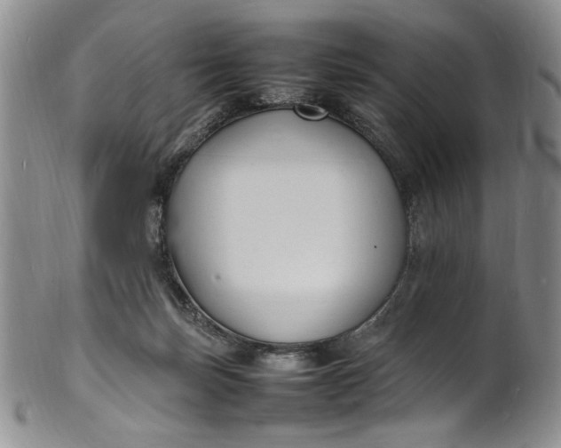 X0000100980171200807081252