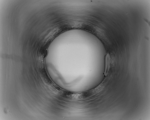 X0000100980172200807081252