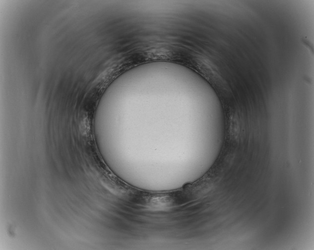 X0000100980173200807081252