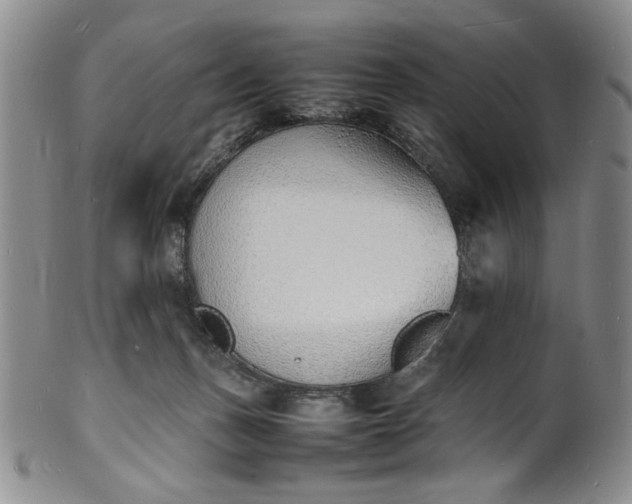 X0000100980175200807081252