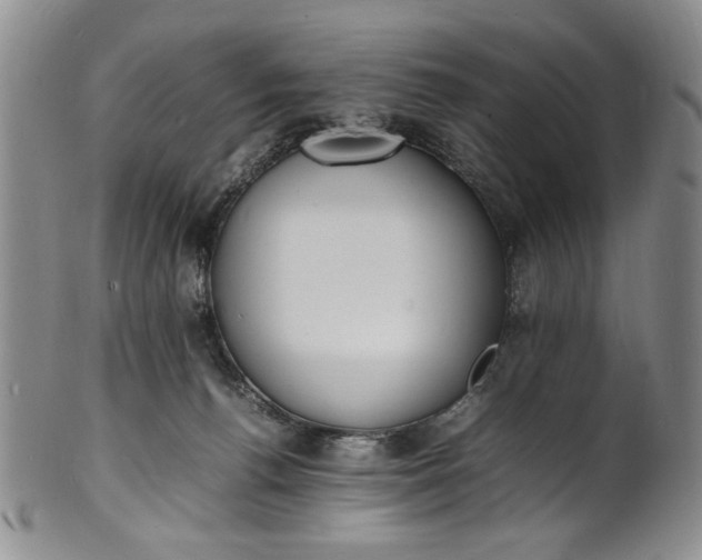 X0000100980176200807081252