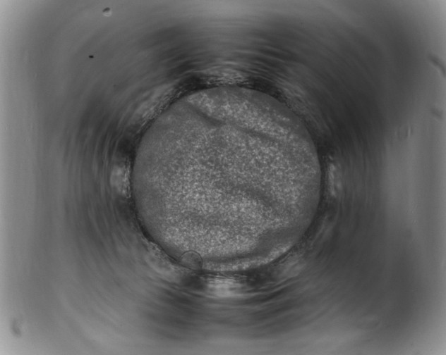 X0000100980177200807081252