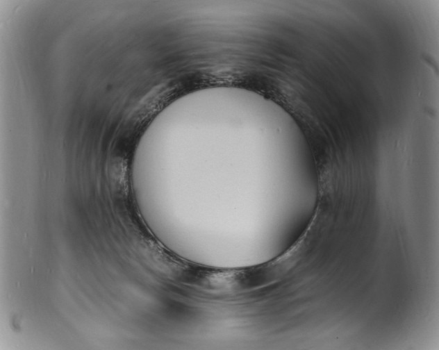 X0000100980178200807081252