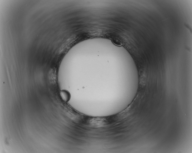 X0000100980179200807081252