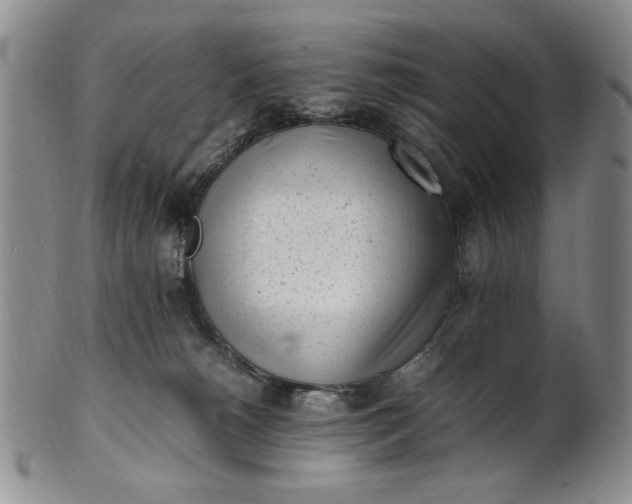 X0000100980180200807081252