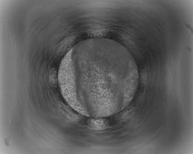 X0000100980181200807081252