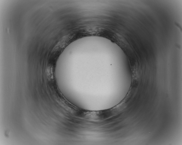 X0000100980182200807081252