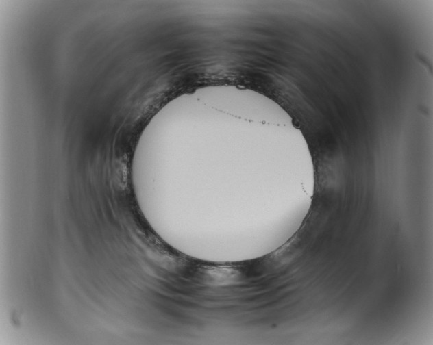 X0000100980183200807081252