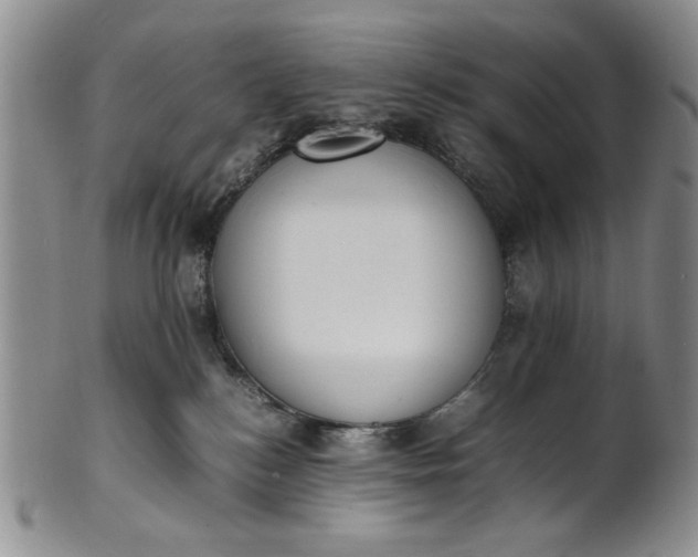 X0000100980184200807081252