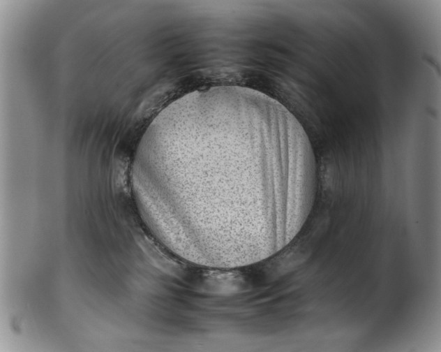 X0000100980185200807081252